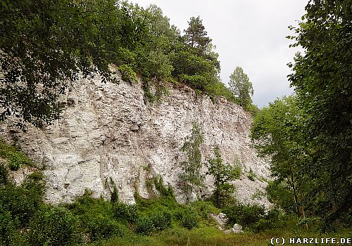 Ehemaliger Gipssteinbruch in der R&uuml;digsdorfer Schweiz