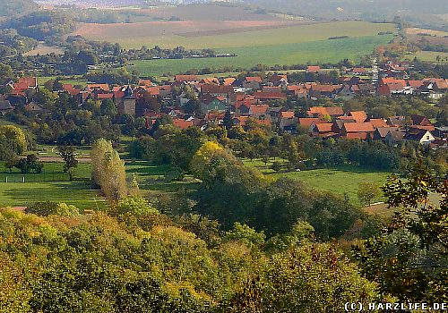 Blick auf Cattenstedt