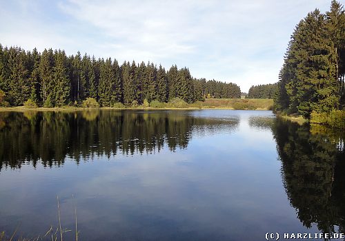Blick über den Unteren zum Damm des Oberen Flambacher Teiches Der Untere Flambacher Teich