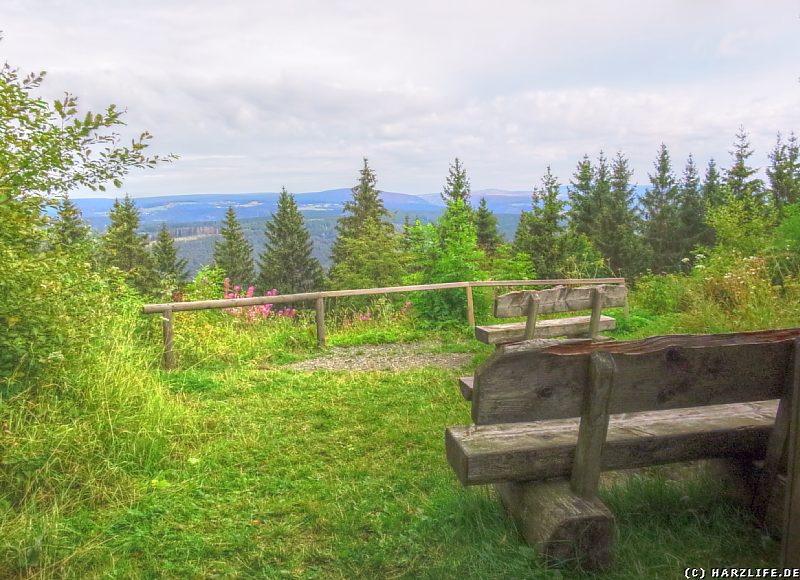 Ausblick vom Stöberhai