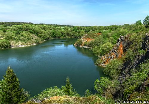 Der Grüne See bei Elbingerode Der Grüne See