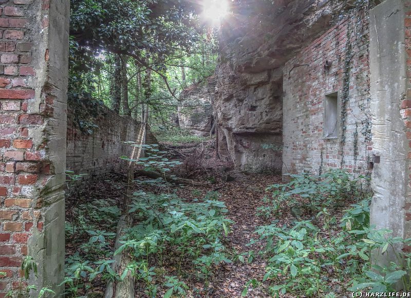 Aussenanlage mit kleinem Vorplatz am einstigen Osteingang