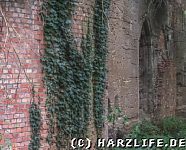 Fenster am Felsenkeller