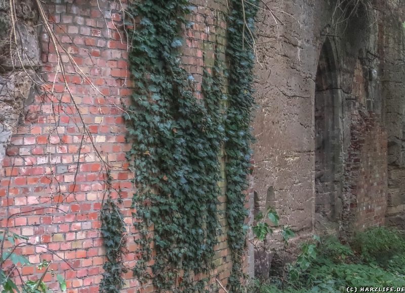 Ein Fenster am Felsenkeller