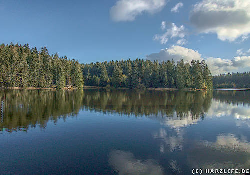 Der Bärenbrucher Teich bei Buntenbock