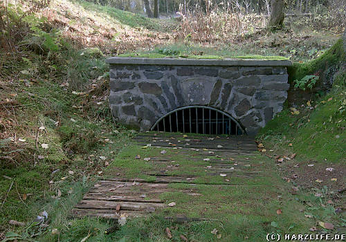 Der Bärenbrucher Wasserlauf