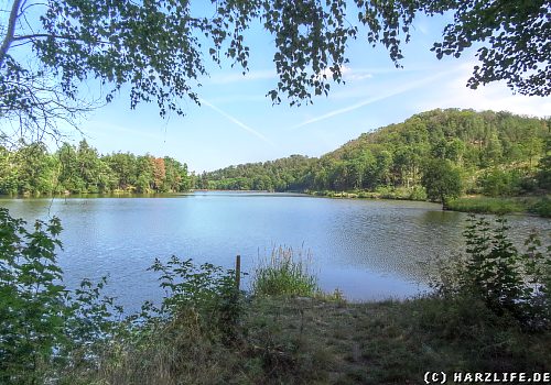 Der Bergsee in Güntersberge