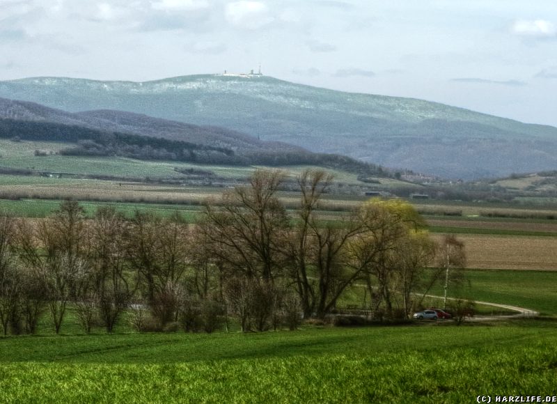 Aussicht vom Hang des Bocksberges auf den Brocken