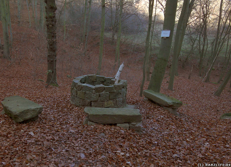 Burgbrunnen der Lauenburg