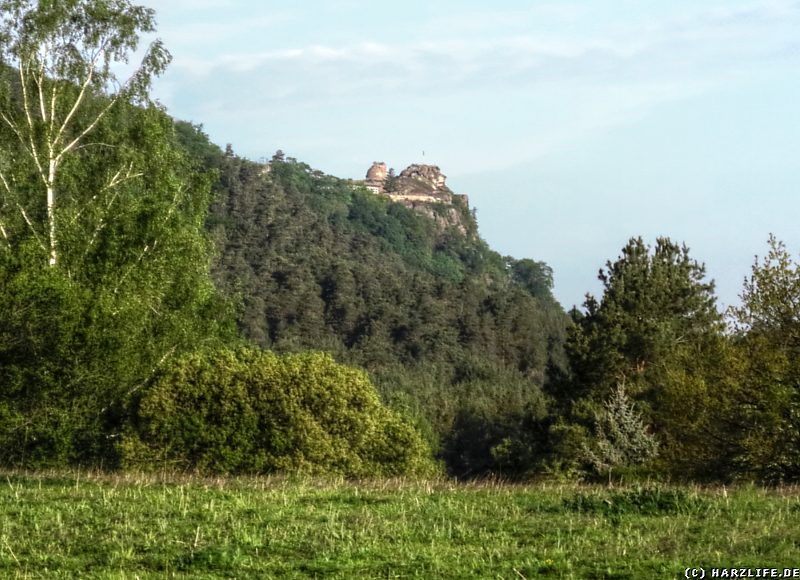 Blick von Osten auf die Burgruine Regenstein