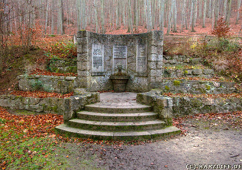 Die Calziumquelle in Stecklenberg