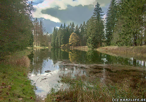Der Entensumpf Der Entensumpf - kleiner ehemaliger Bergbauteich bei Clausthal-Zellerfeld