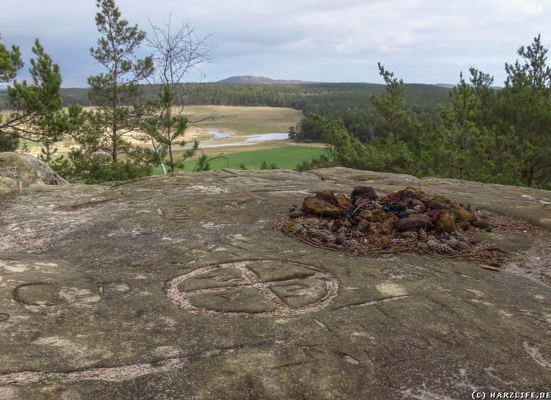 Aussicht vom Großen Papenberg auf die Goldbach-Aue und den Hoppelberg