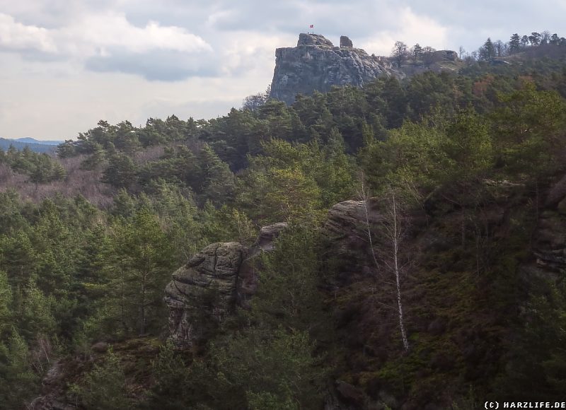 Blick vom Großen Papenberg zur Burgruine Regenstein