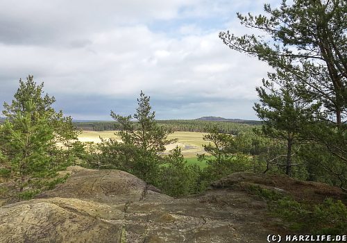 Der Große Papenberg