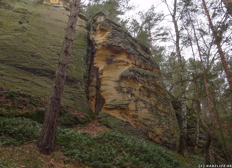 Sandsteinklippe am Großen Papenberg