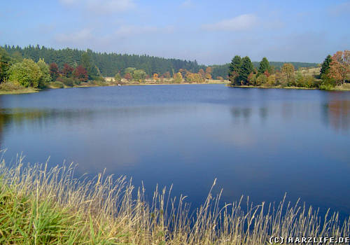 Der Große Sumpfteich bei Buntenbock