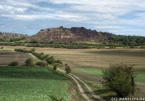 Der Große Thekenberg östlich von Langenstein