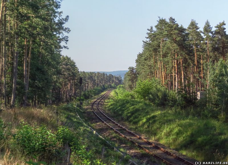 Die Eisenbahntrasse im Heers