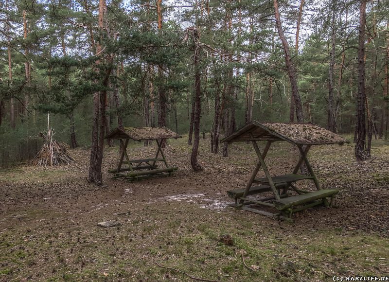 Ein Rastplatz mitten im Wald