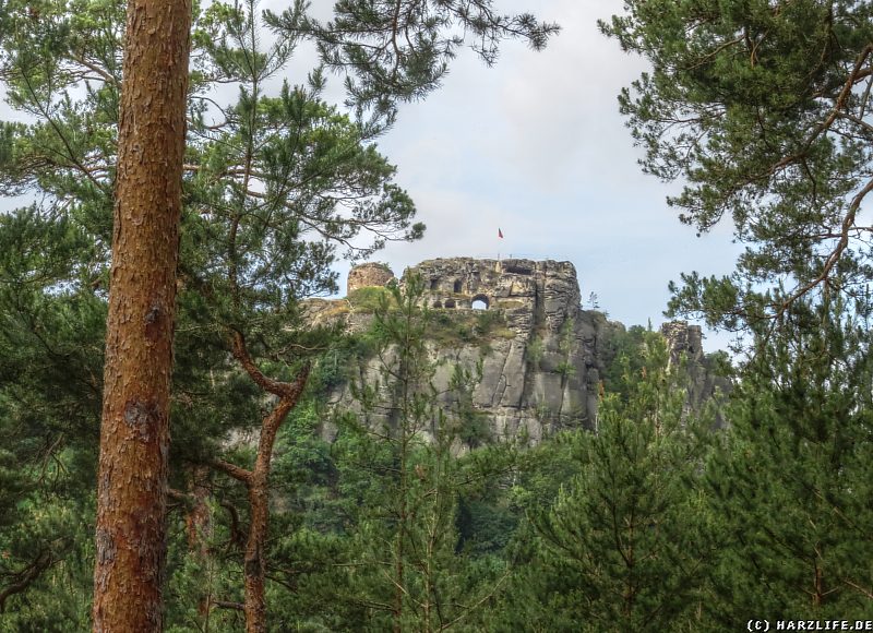 Der Aussichtspunkt Regensteinblick im Heers