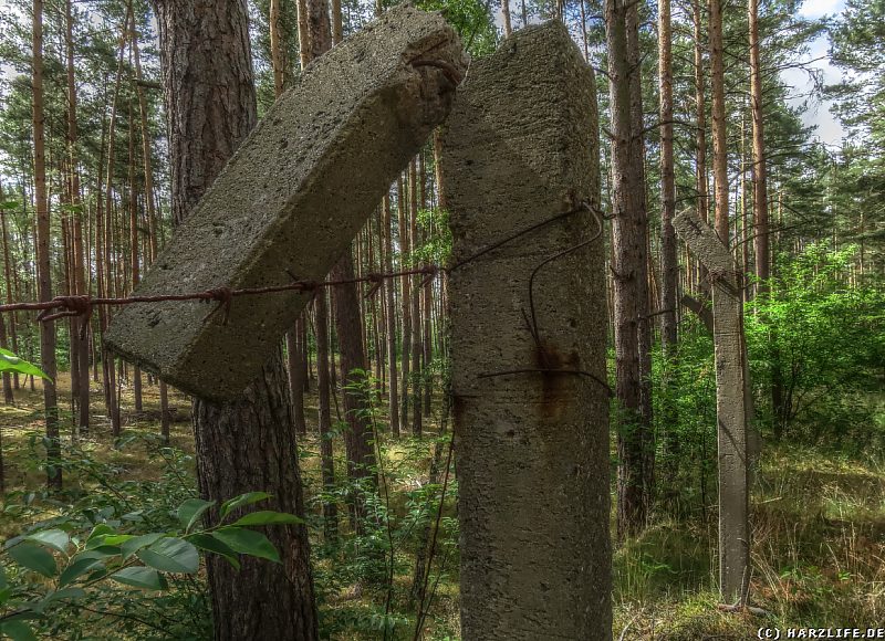 Reste eines Stacheldrahtzaunes im Heers