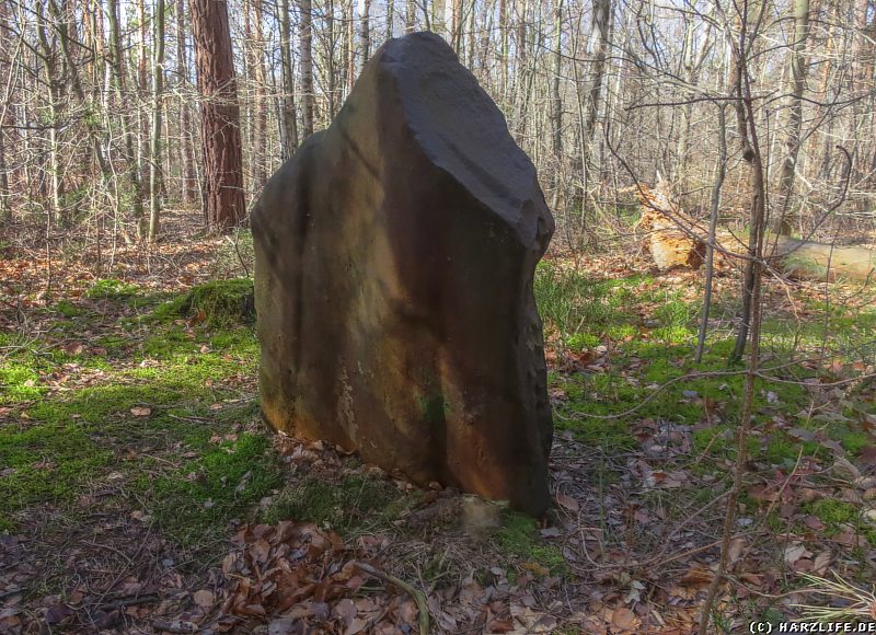 Ein Menhir im Osterholz