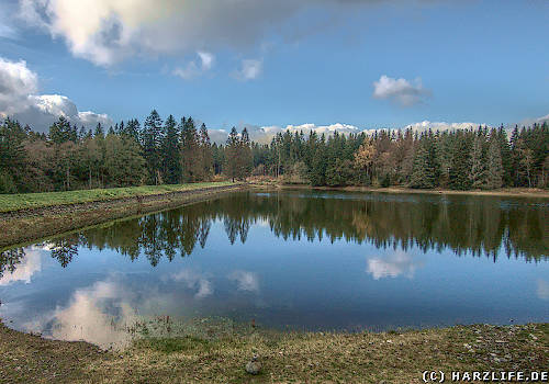 Der Obere Nassenwieser Teich - ehemaliger Bergbauteich bei Buntenbock