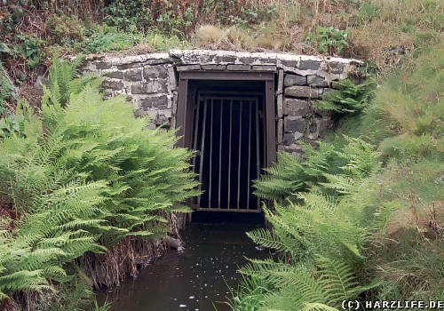 Der Obere Schwarzenbacher Wasserlauf