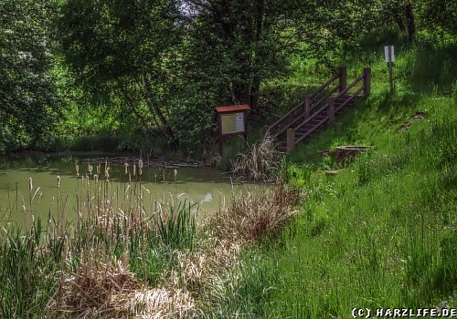 Die Schwefelquelle in Börnecke