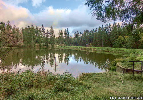 Der Semmelwieser Teich