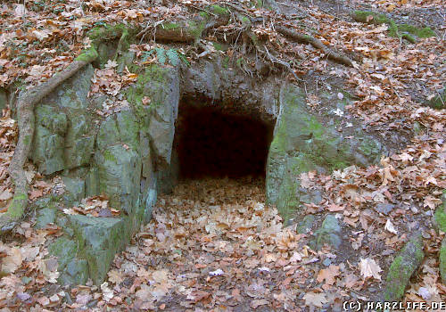 Ein Stollenmundloch im Röhrengrund