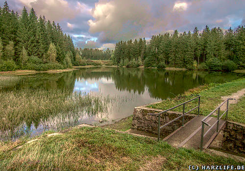 Der Untere Flambacher Teich