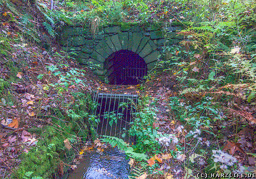 Der Untere Flambacher Wasserlauf