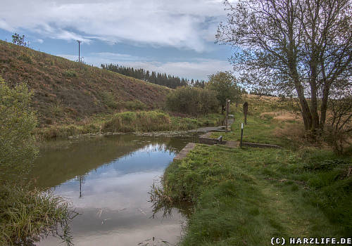 Widerwaage am Hasenbacher Teich