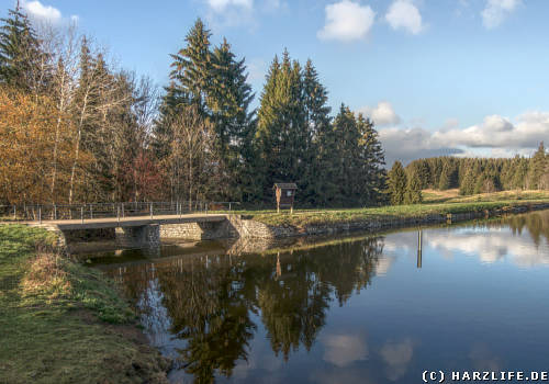 Ziegenberger Teich bei Buntenbock mit Staudamm und Ausflut