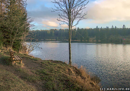 Der Ziegenberger Teich bei Buntenbock