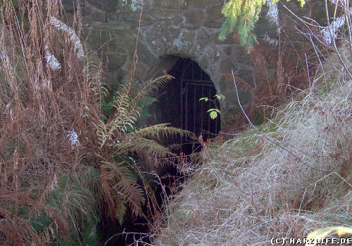 Der Ziegenberger Wasserlauf