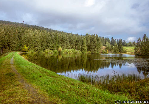 Der Auerhahn-Teich bei Bockswiese im Harz