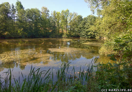 Am Beberteich