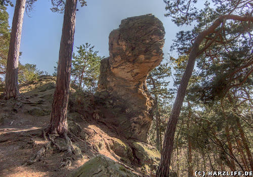 Geologischer Wanderweg Blankenburg - Felsklippe Hans Mönch