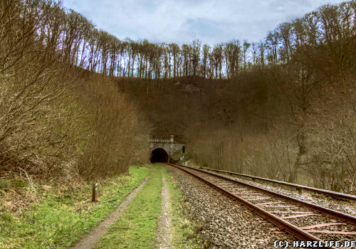 Himmelreich bei Walkenried