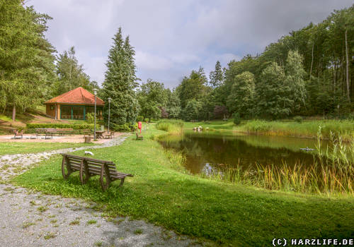 Der Kurpark in Friedrichsbrunn