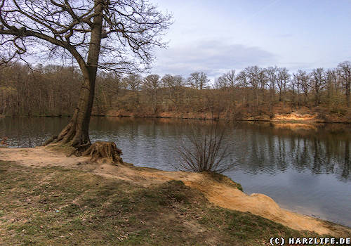 Der Mönchemühlenteich