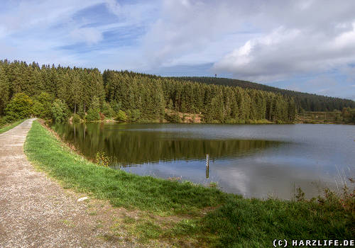 Oberer Grumbacher Teich