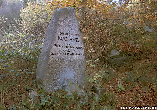 Das Oberförster-Koch-Denkmal