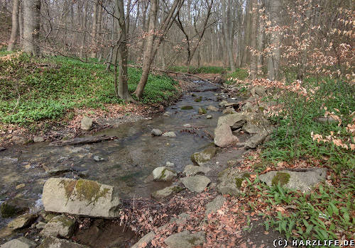 malerisches Teufelsbachtal