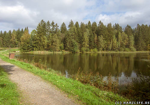 Unterer Flößteich