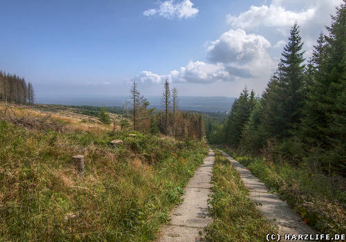 Wanderung durch das Bremketal zum Wurmberg