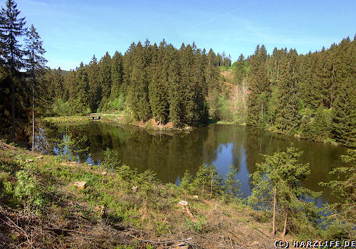 Der Untere Grumbacher Teich